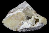 Agatized Fossil Coral Geode - Florida #82985-1